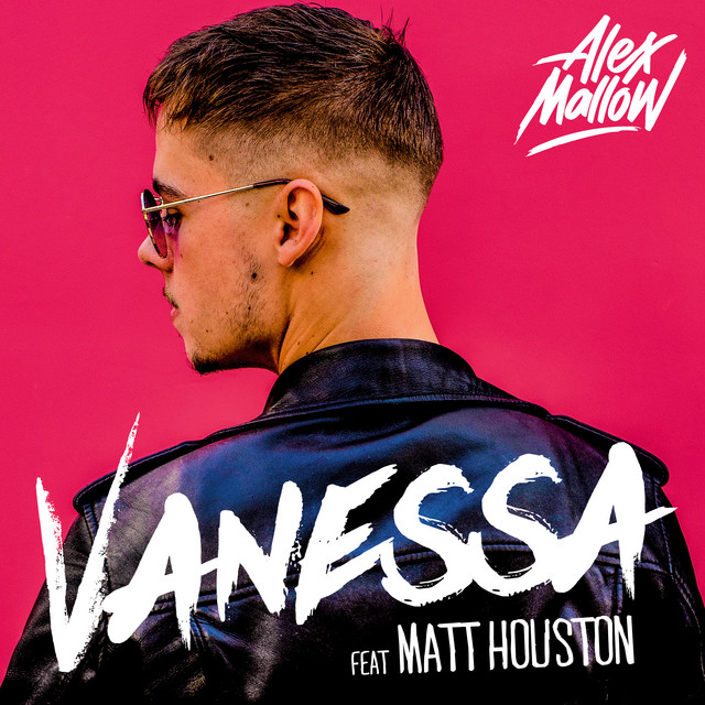 Vanessa (Radio Edit) cover