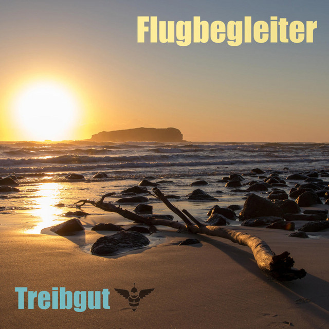 Treibgut cover