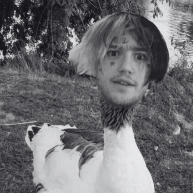 Weird cover art