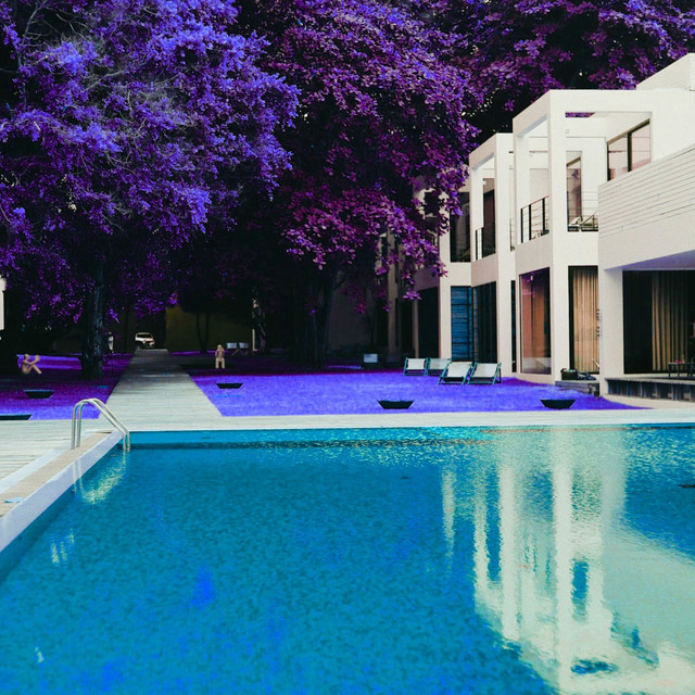 Terrific Ambiance for Wellness Vacations cover art