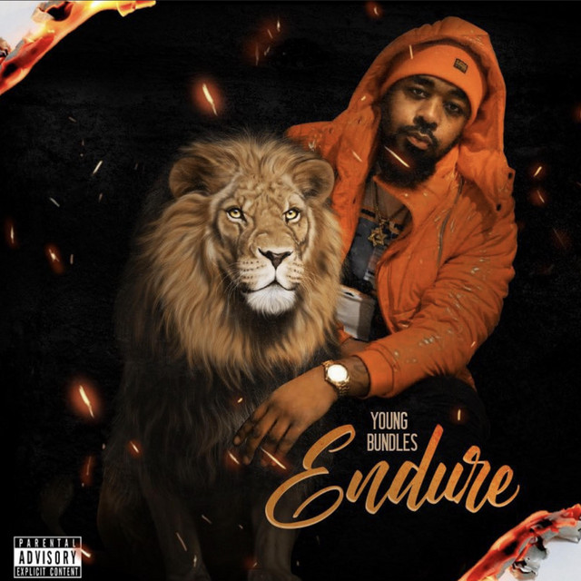 Endure cover art