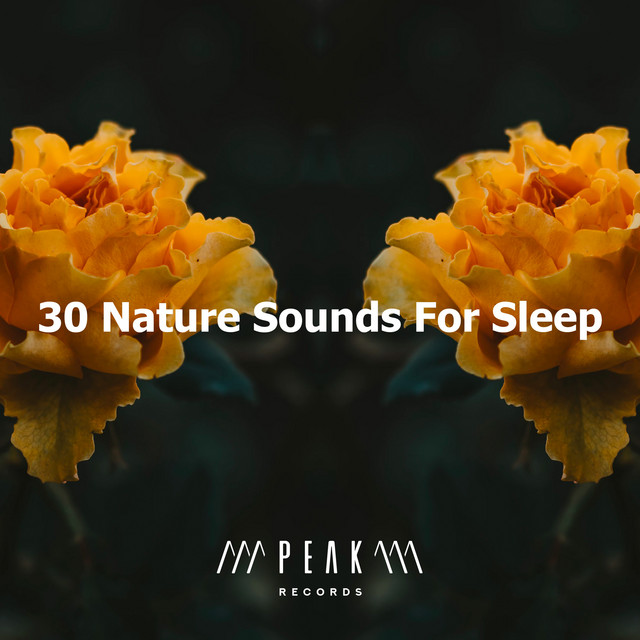 30 Nature Sounds For Sleep - Album by Nature Sounds for Sleep and ...