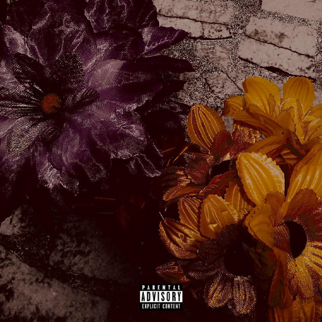 Plugs & Connections cover art