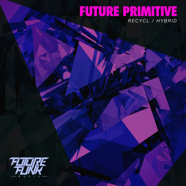 Recycl / Hybrid cover art