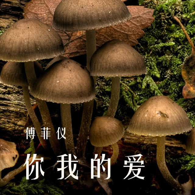 傅菲仪