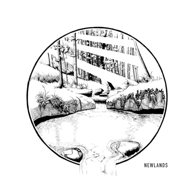 Newlands cover