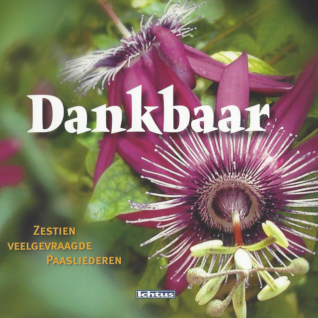 Lied van de verrijzenis