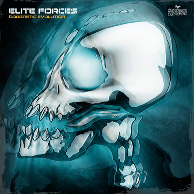 Borgnetic Evolution cover