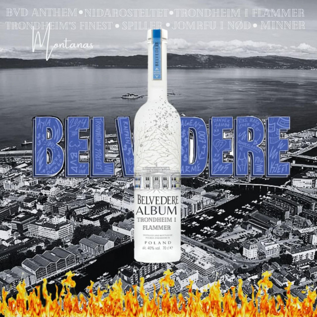 Trondheim i Flammer cover art