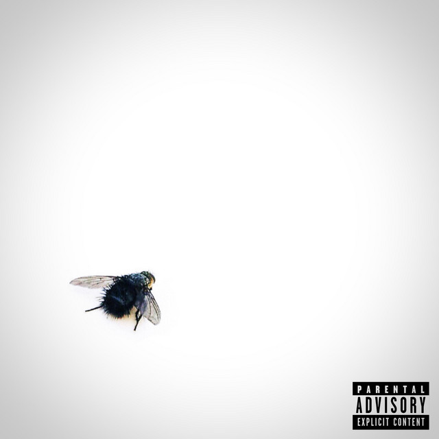 Dejavu cover art