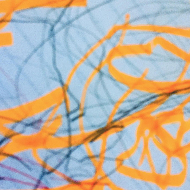 Potopo cover art
