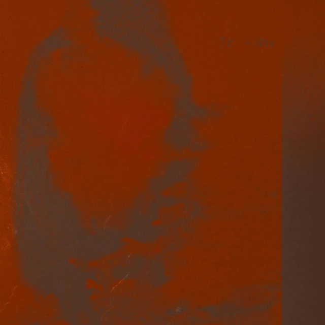 Te Libro cover art