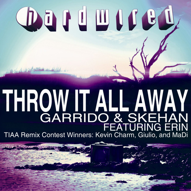 Throw It All Away - MaDi Remix cover art
