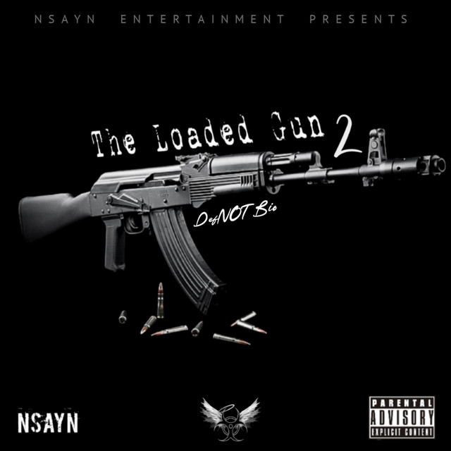 The Loaded Gun 2 cover art