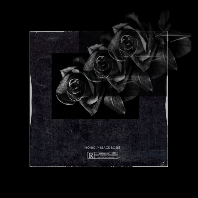 Black Roses cover art