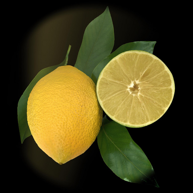 Sunshine x Lemonade