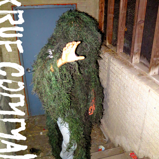 I Lurk in the Camo cover art