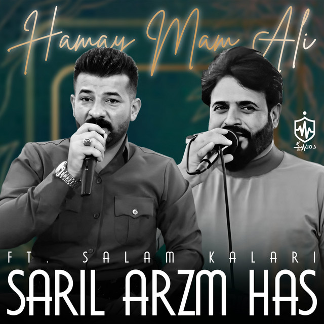 Saril Arzm Has cover art