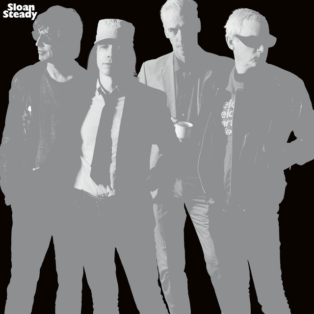 Steady cover art