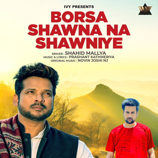 Borsa Shawna Na Shawniye album image