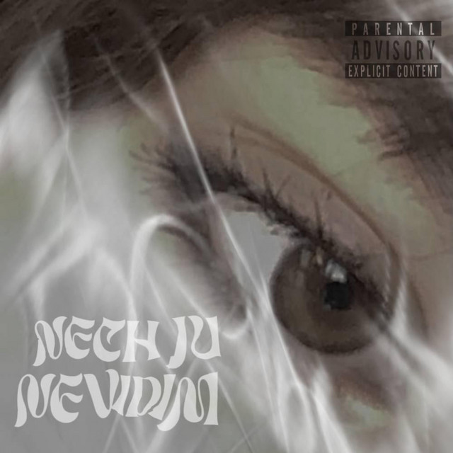 Nech Ju Nevidím album image