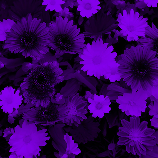Dark Beach (Speed Up)