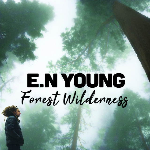 Forest Wilderness cover art