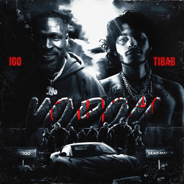 Pochette de Vodou (feat. TiBab) de 2025