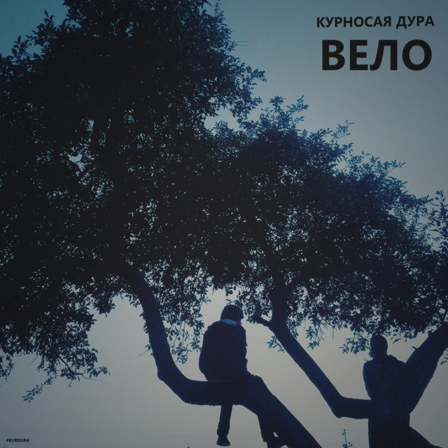 Cover art: Вело — КУРНОСАЯ ДУРА