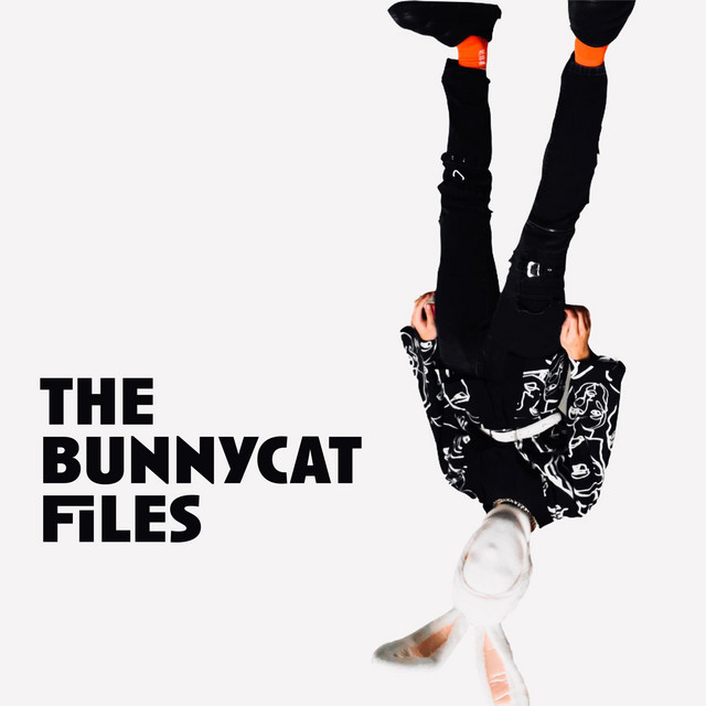 the bunnycat files cover art