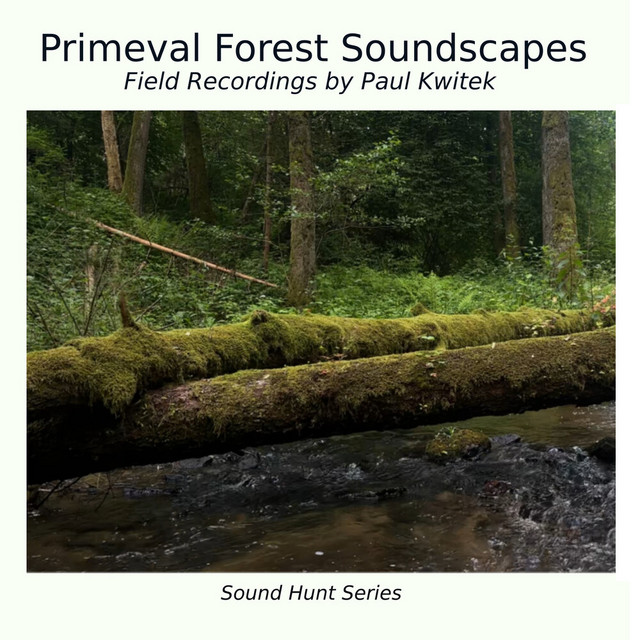Primeval Forest Soundscapes cover art