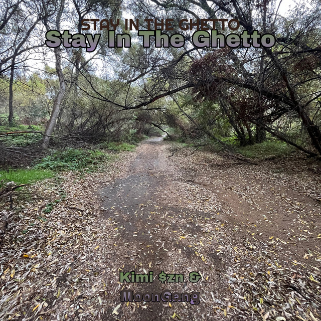 Stay in the Ghetto cover art