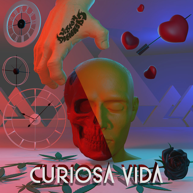 Visión Designada