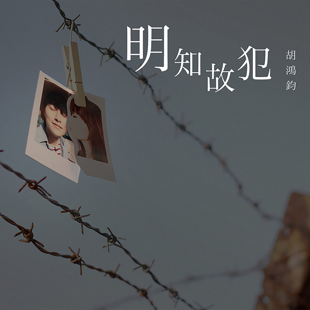 明知故犯 cover art