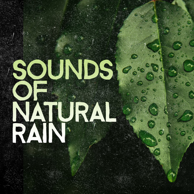 Sounds of Natural Rain cover art