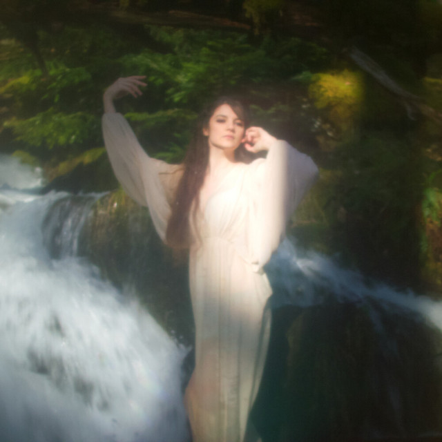Dark Forest cover art