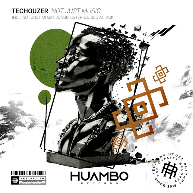 Not Just Music - Extended Mix album art