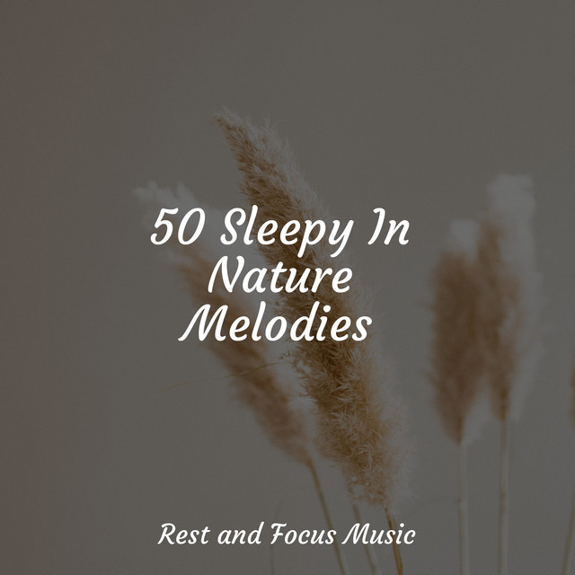 50 Sleepy In Nature Melodies cover art