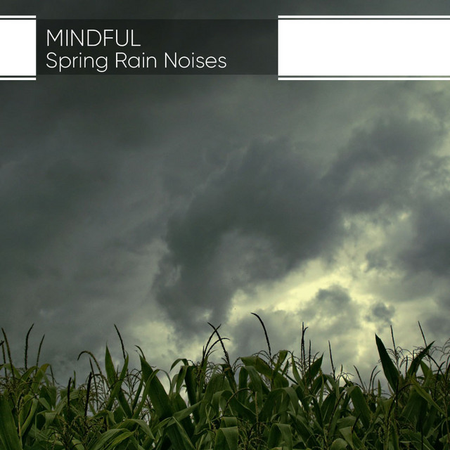 Mindful Spring Rain Noises - Album by Natural Sounds | Spotify