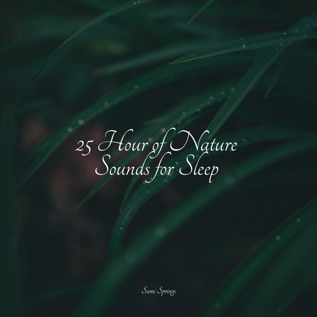 25 Hour of Nature Sounds for Sleep - Album by Spa Zen | Spotify