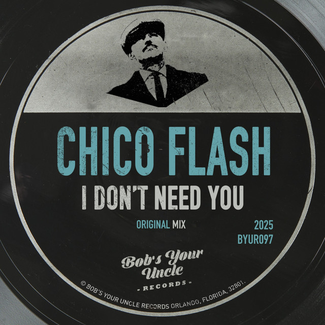 I Don't Need You album art