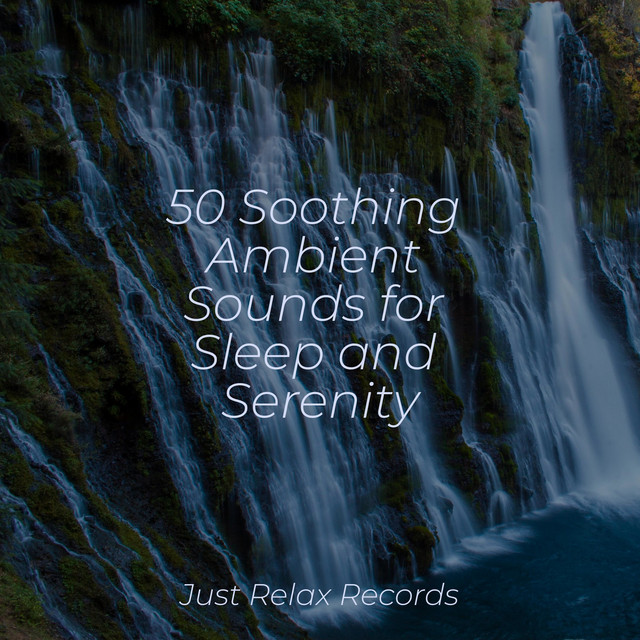 50 Soothing Ambient Sounds for Sleep and Serenity - Album by Deep Sleep ...
