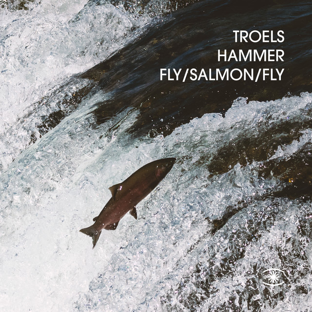 Обкладинка: Fly Salmon Fly — Troels Hammer