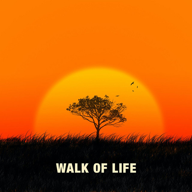 Walk of Life cover art