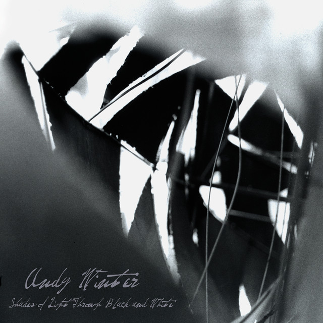 Shades Of Light Through Black And White cover