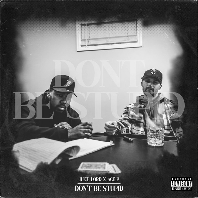 Used 2 cover art