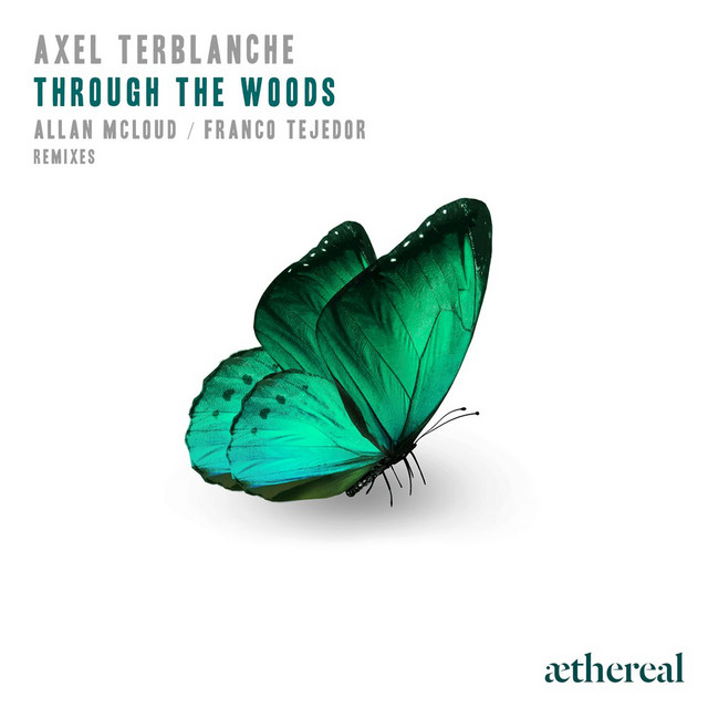 Through the Woods - Franco Tejedor Remix cover art