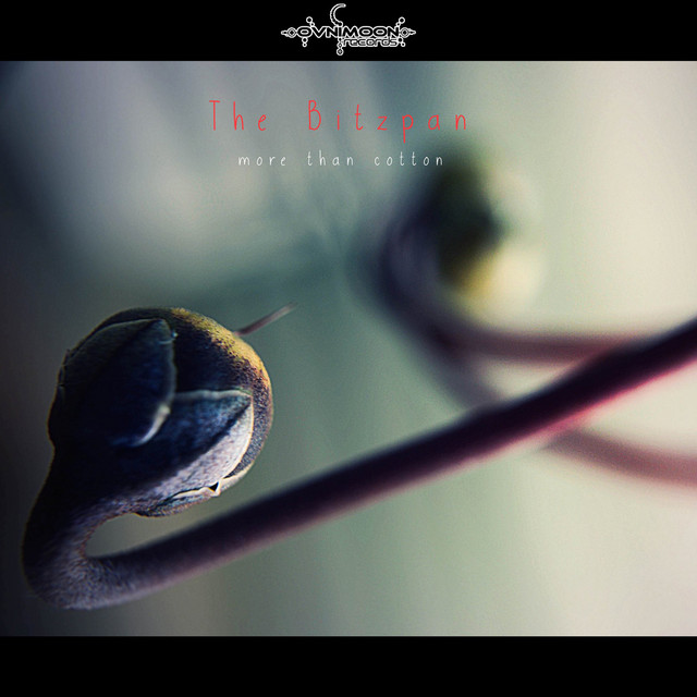 More Than Cotton cover art