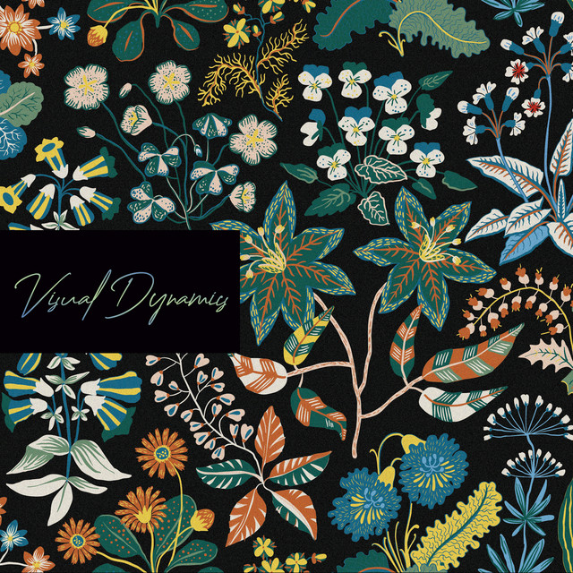 Visual Dynamics cover art