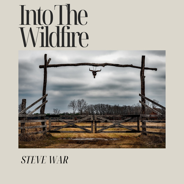 Into The Wildfire cover art